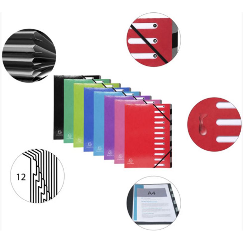 0000005639311-Exacompta Iderama - Trieur extensible 12 positions - disponible dans différentes couleur-P_79389290_15-13