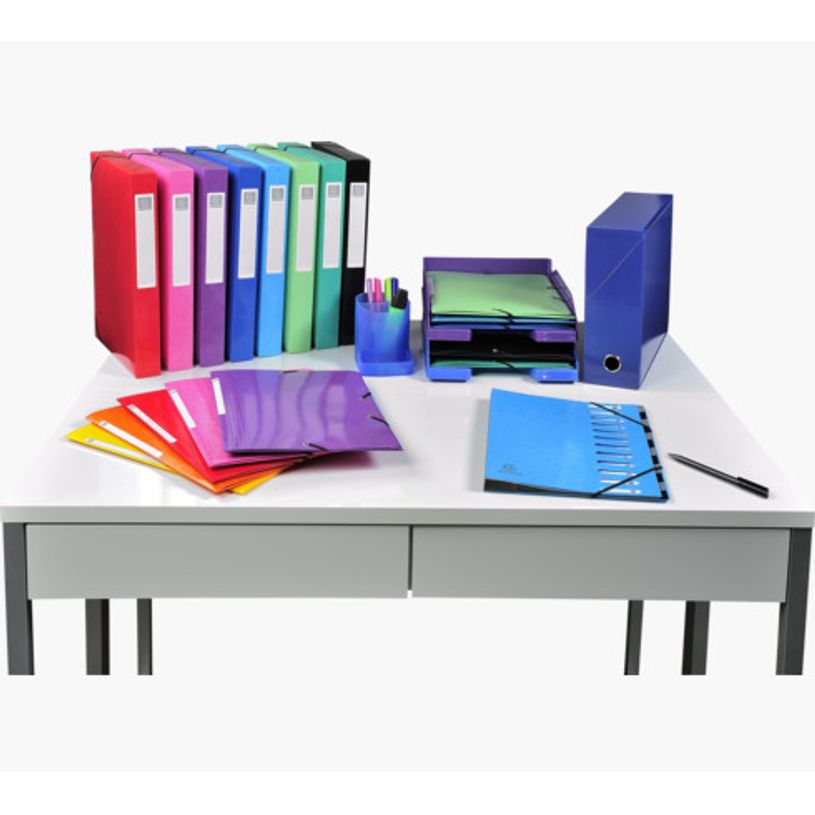 0000005639311-Exacompta Iderama - Trieur extensible 12 positions - disponible dans différentes couleur-P_79389290_16-14