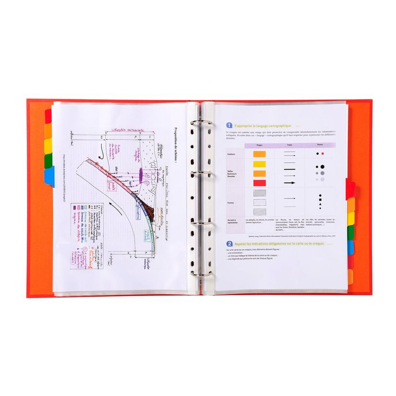 3130630043126-Exacompta Nature Future - Intercalaire 12 positions - A4 Maxi - carte blanche-P_79389365_3-6