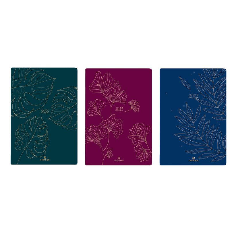 3108728250701-Agenda Astoria - 1 semaine sur 2 pages - 17 x 24,5 cm - disponible dans différentes couleu-P_79389468_1-0