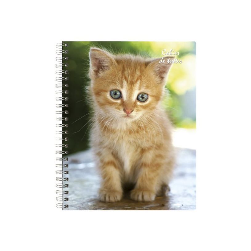 3660942044165-Cahier de textes à spirale Animaux - 17 x 22 cm - disponible dans différents visuels - Ex-P_79394629_5-3