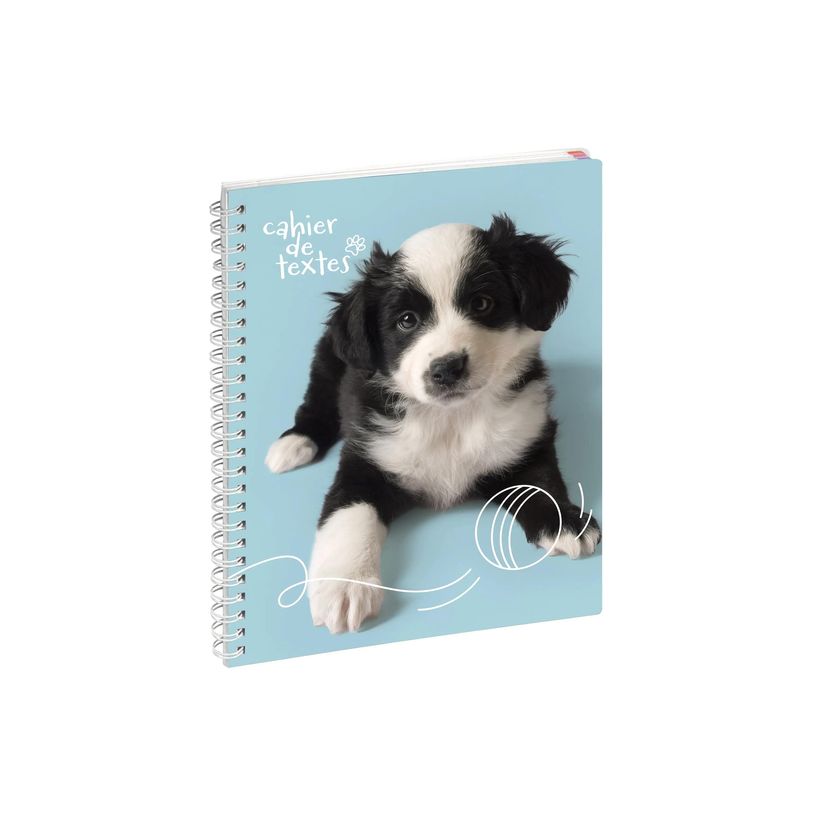 3660942044165-Cahier de textes à spirale Animaux - 17 x 22 cm - disponible dans différents visuels - Ex-P_79394629_6-7