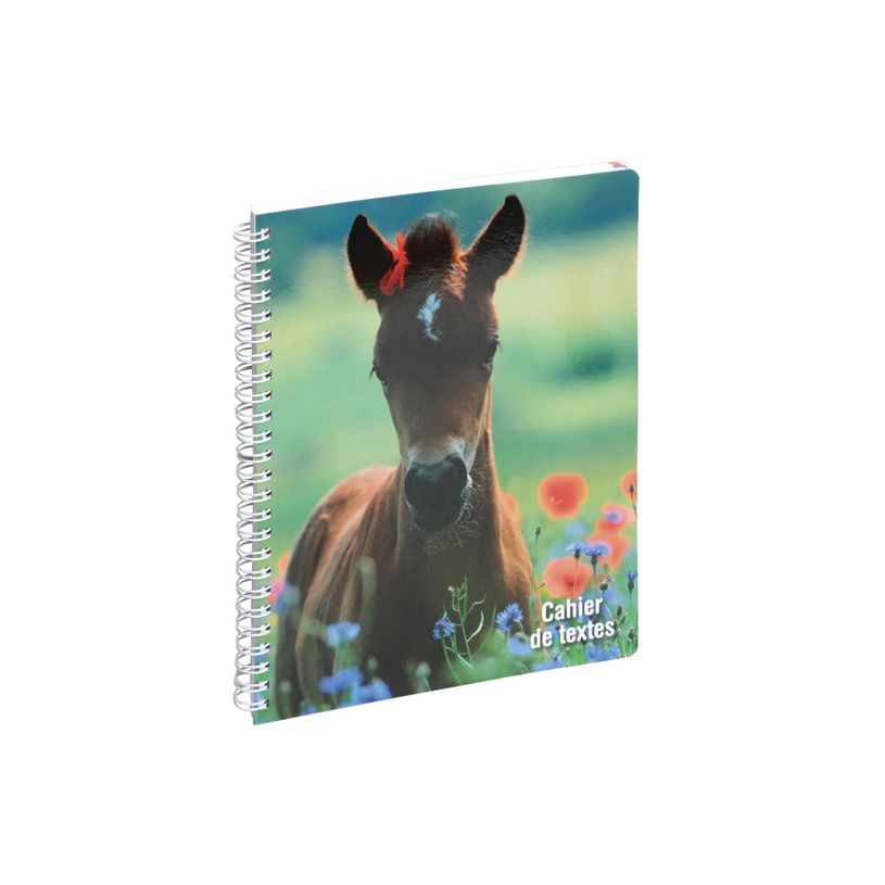 3660942044165-Cahier de textes à spirale Animaux - 17 x 22 cm - disponible dans différents visuels - Ex-P_79394629_8-6