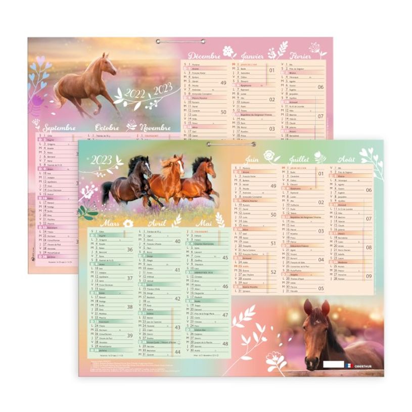 3108720430590-Calendrier Cheval 6 mois par face - 43 x 33,5 cm - Oberthur-P_79395017_1-0