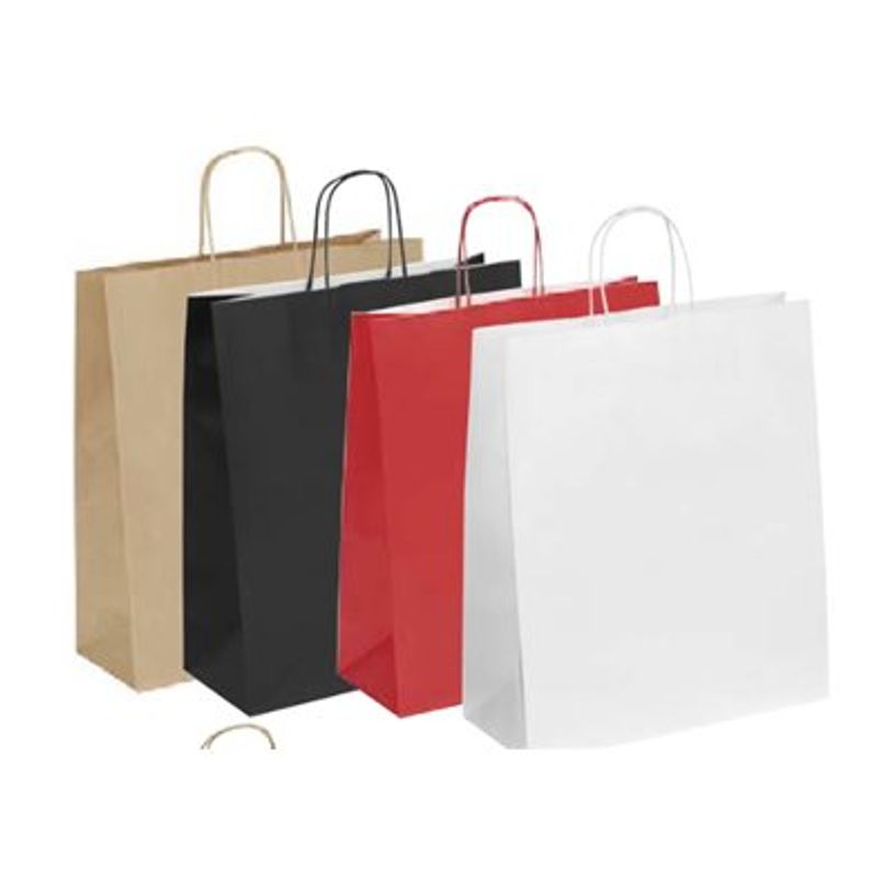 2130858104372-50 Sacs cadeau kraft - poignées torsadées - 32 cm x 12 cm x 44 cm - blanc-P_79395409_2-1