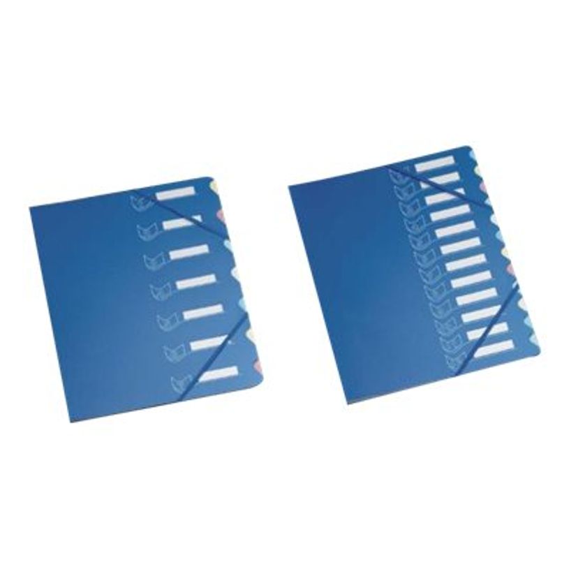 3068590029440-Extendos Série 437 - Trieur 12 positions - disponible dans différentes couleurs-P_79395889_1-0