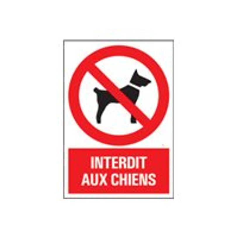 8711234129161-Pickup - Panneau Interdit aux chiens - 230 x 330 mm-P_79396306_1-0