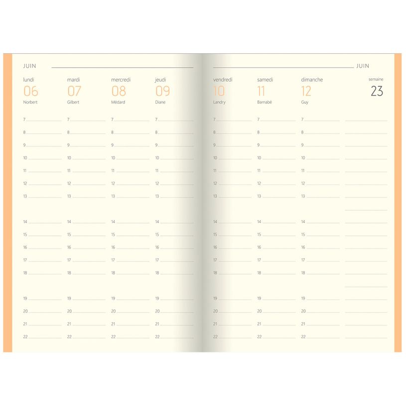 3108728159615-Agenda Colornote - 1 semaine sur 2 pages - 10 x 15 cm - disponible dans différentes couleu-P_79398098_8-4