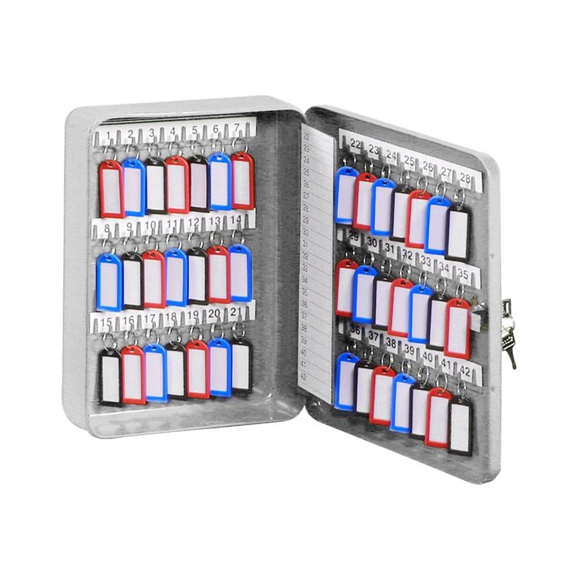 3219090700425-Pierre Henry - Armoire à clés - 42 crochets - gris-P_79401086_1-0