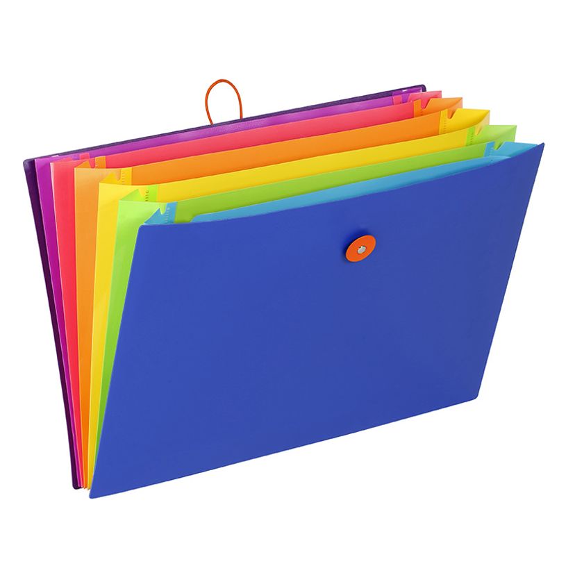 3135251267319-Viquel Happy Fluo - Trieur extensible 6 positions-P_79405022_1-0