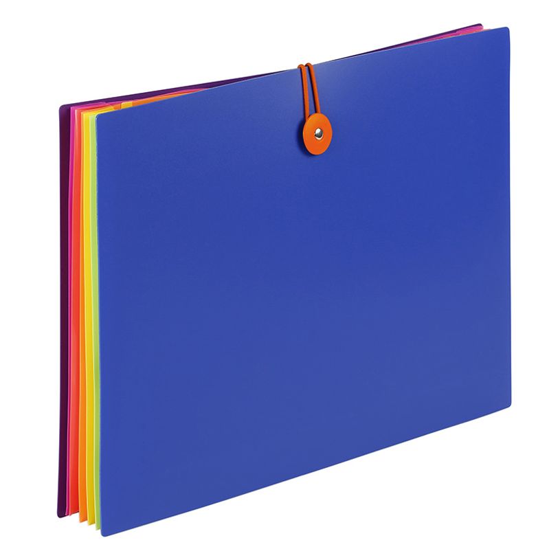 3135251267319-Viquel Happy Fluo - Trieur extensible 6 positions-P_79405022_2-1