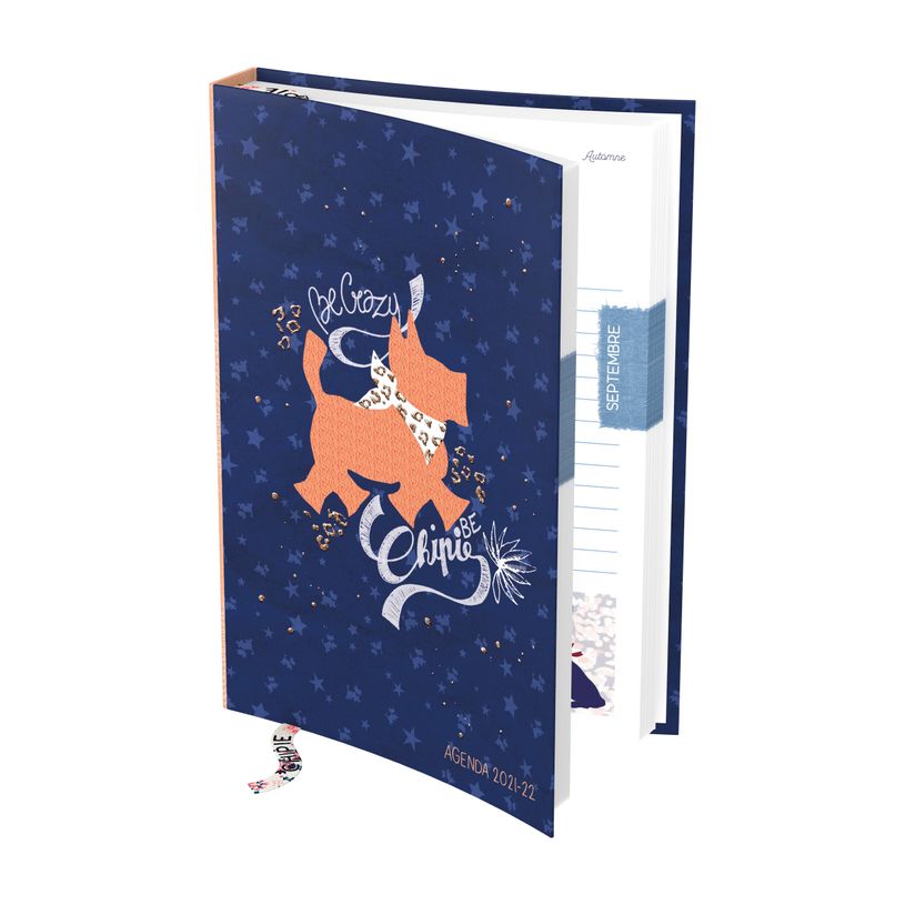 3020120003467-Agenda Chipie City - 1 jour par page - 12 x 17 cm - différents modèles disponibles - Hame-P_79405201_1-0