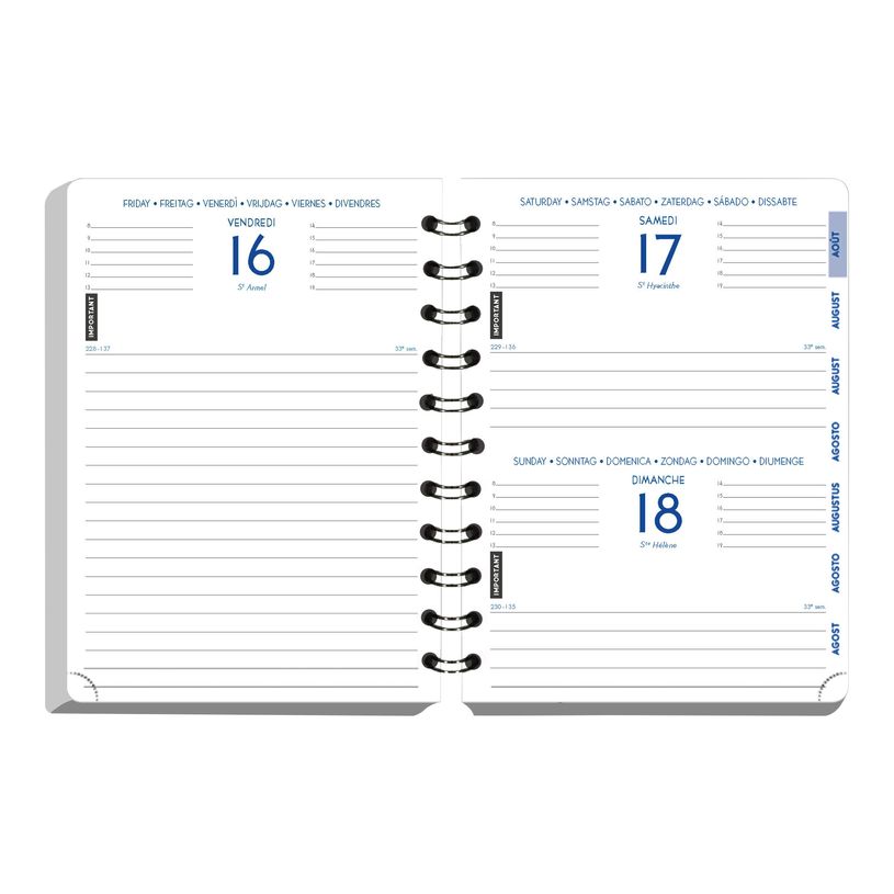 3660942244039-Agenda Shiny - 1 jour par page - 12 x 17 cm - disponible dans différents visuels - Exacomp-P_79405359_1-9