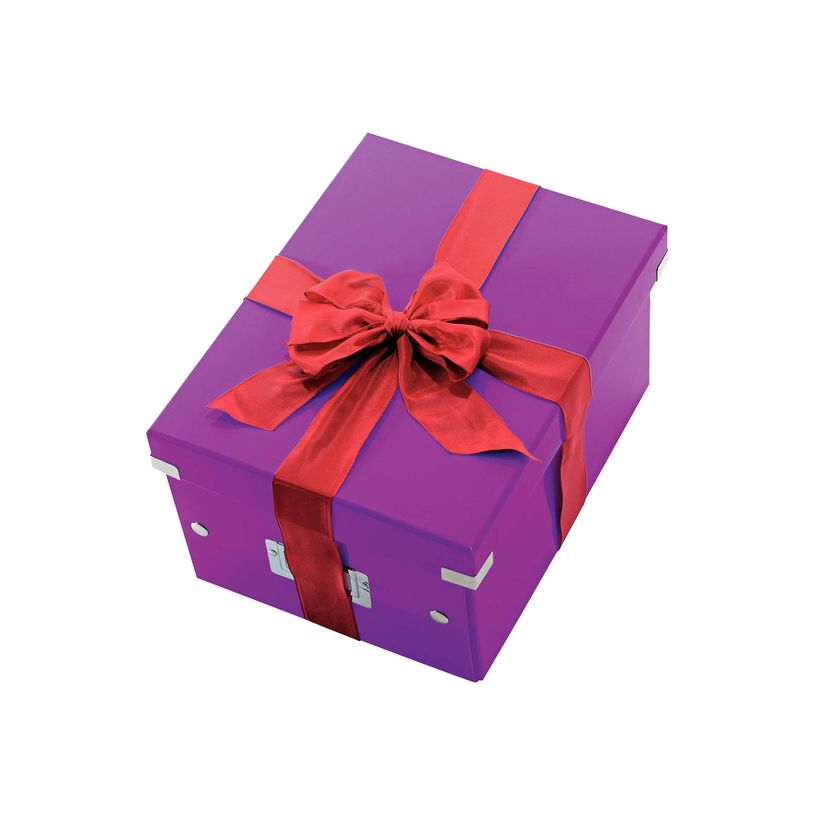 4002432103805-Leitz Click & Store - Boîte de rangement A4 - violet métallisé-P_79406367_5-0