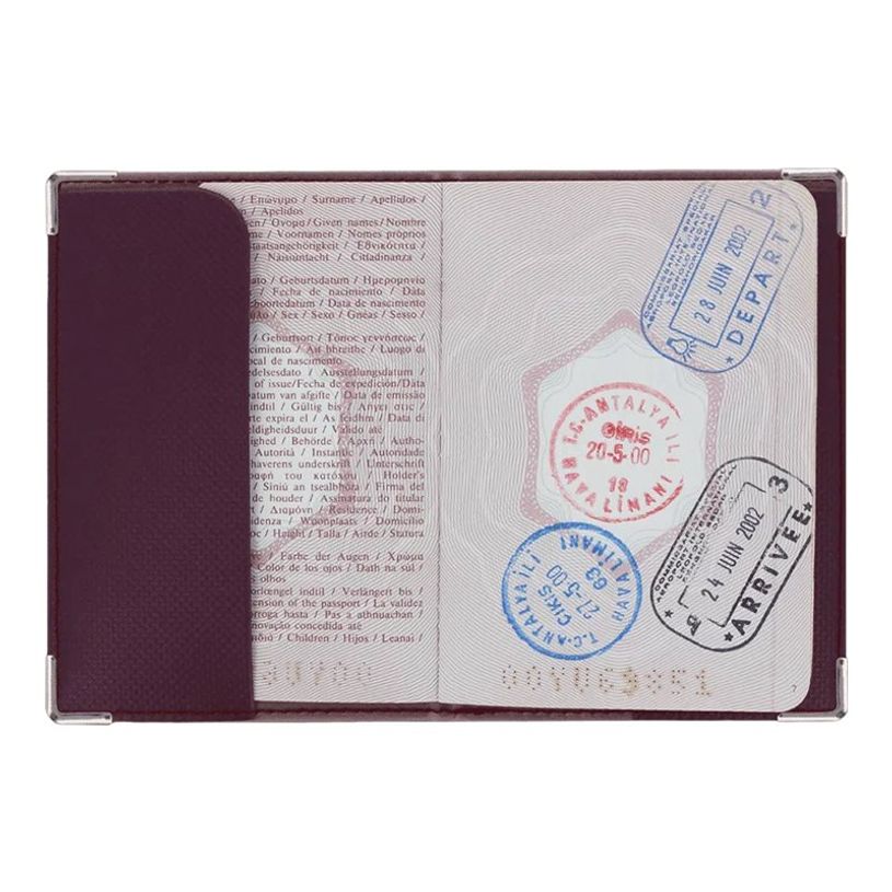 3700536110385-Color Pop - Etui passeport blindé silver-P_79408772_2-1