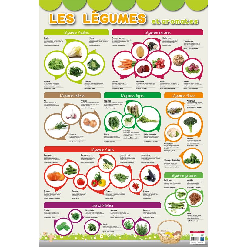3592930008777-Poster pédagogique Légumes - 52 x 76 cm - Bouchut--0