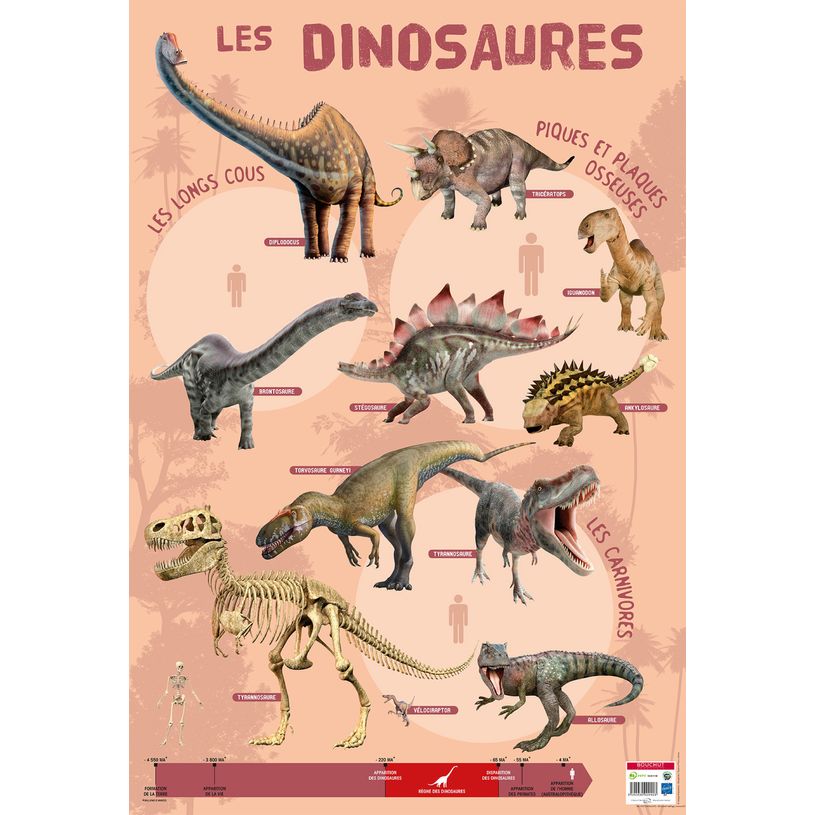 3592930009903-Poster pédagogique Dinosaures - 52 x 76 cm - Bouchut--0