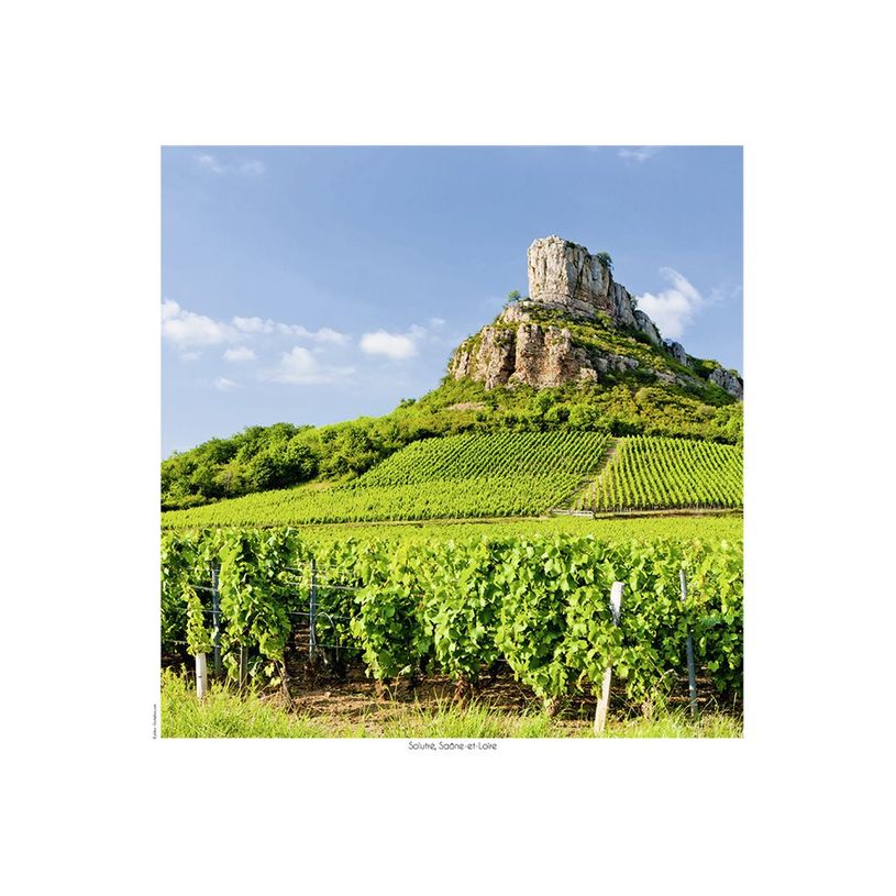 3592930029314-Calendrier illustré BOUCHUT 15 x 15 cm DOUCE FRANCE Pefc 70 %-P_79409615_4-8