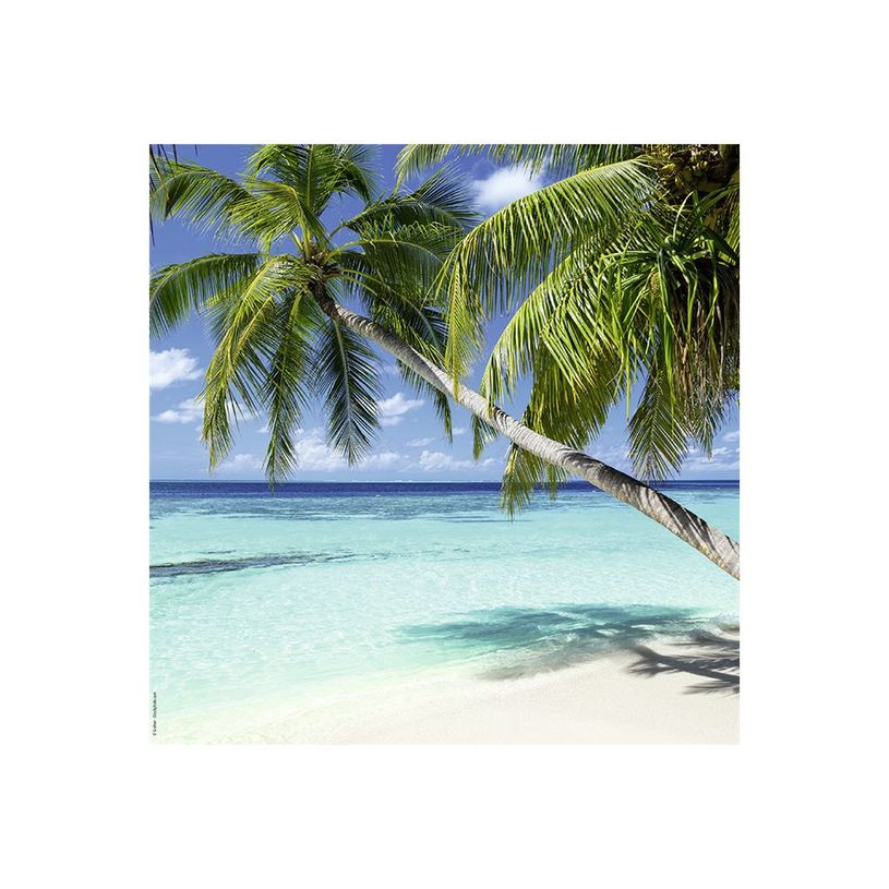 3592930027280-Calendrier illustré BOUCHUT 15 x 15 cm DESTINATIONS DE REVE Pefc 70 %-P_79409616_10-7