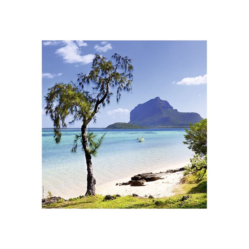 3592930027280-Calendrier illustré BOUCHUT 15 x 15 cm DESTINATIONS DE REVE Pefc 70 %-P_79409616_4-4