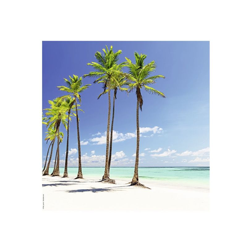 3592930027280-Calendrier illustré BOUCHUT 15 x 15 cm DESTINATIONS DE REVE Pefc 70 %-P_79409616_6-10