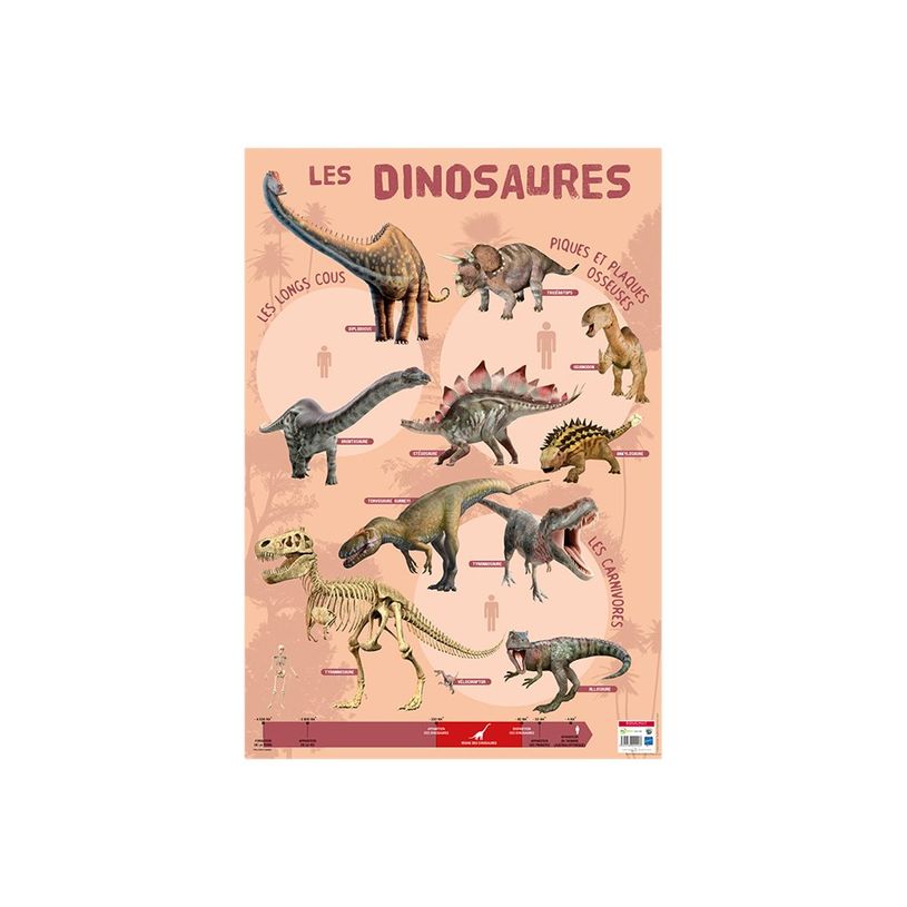 3592930009903-Bouchut - Poster Les Dinosaures - 52 x 76 cm-P_79409657_1-0