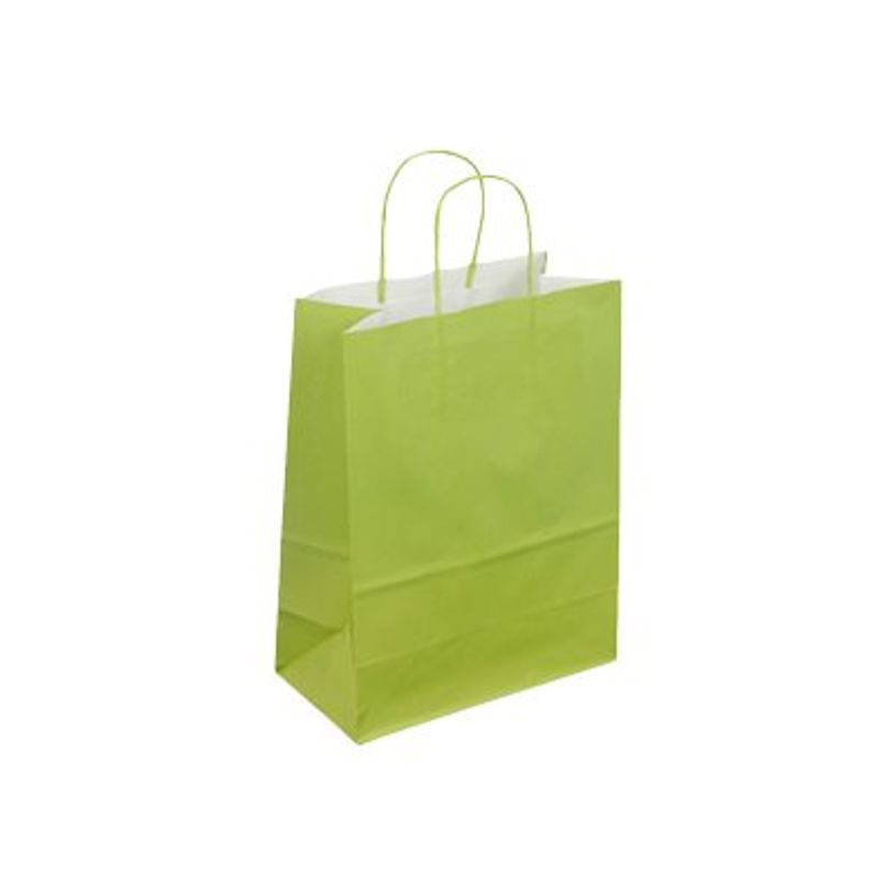 2130858206236-50 Sacs cadeau kraft - poignées torsadées - 18 cm x 8 cm x 22 cm - vert-P_79414212_1-0