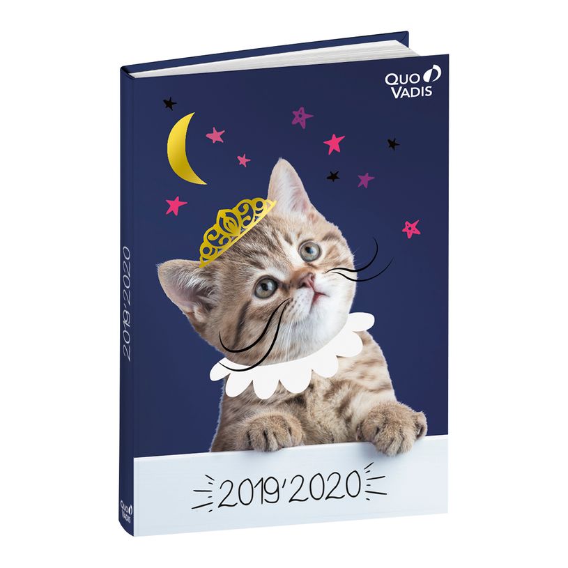 2012349515358-Agenda Potes À pattes 1 Jour par page 12X17cm Quo Vadis -P_79416321_3-2