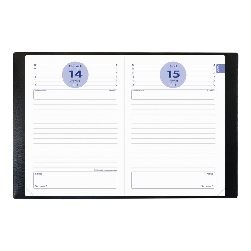 3371010393060-Quo Vadis - Agenda Real Madrid - 1 jour par page - 12 x 17 cm-P_79416378_1-2