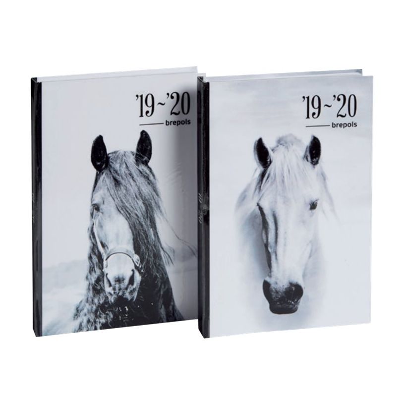 5412303144896-Agenda Equus - 1 jour par page - différents modèles disponibles - Brepols-P_79416464_1-0