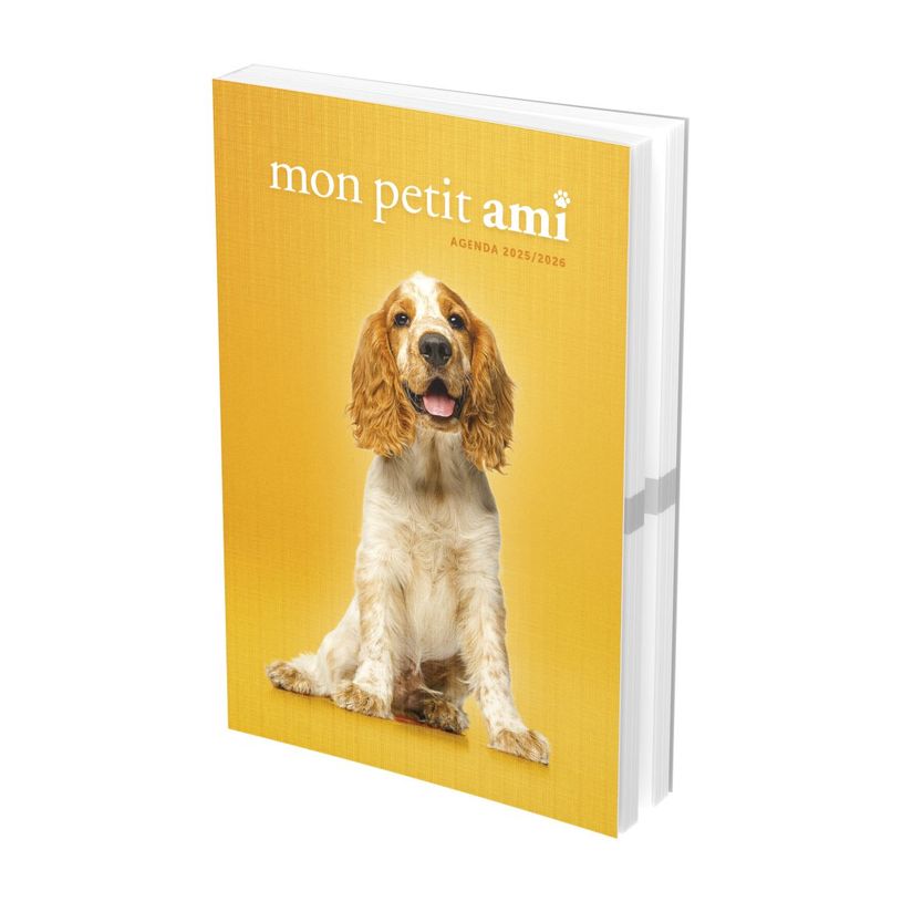 3147280073854-Agenda fantaise Mon petit ami - 17 x 22 cm -  1 jour par page  - différents modèles dispo-P_79416636_3-1