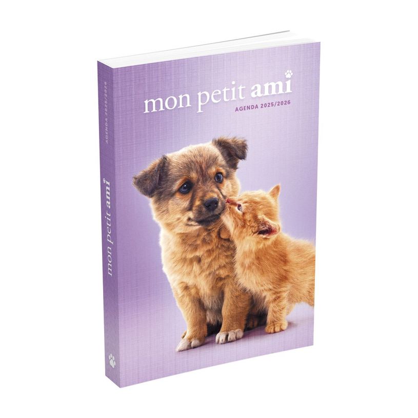 3147280073854-Agenda fantaise Mon petit ami - 17 x 22 cm -  1 jour par page  - différents modèles dispo-P_79416636_4-2