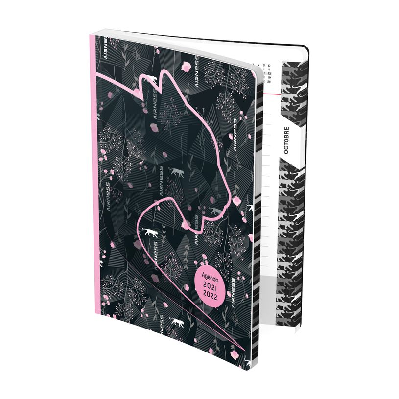 3147280076275-Agenda semi-rigide Airness Alaric - 1 jour par page - 13,5 x 19 cm - différents modèles d-P_79416643_1-0