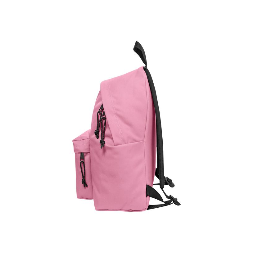 5400852634289-EASTPAK Padded Pak'r - Sac à dos - 40 cm - Rose-P_79416808_7-9