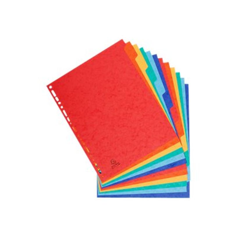 3130630026129-Exacompta Nature Future - Intercalaire 12 positions - A4 Maxi - carte rigide colorée-P_79417620_2-1