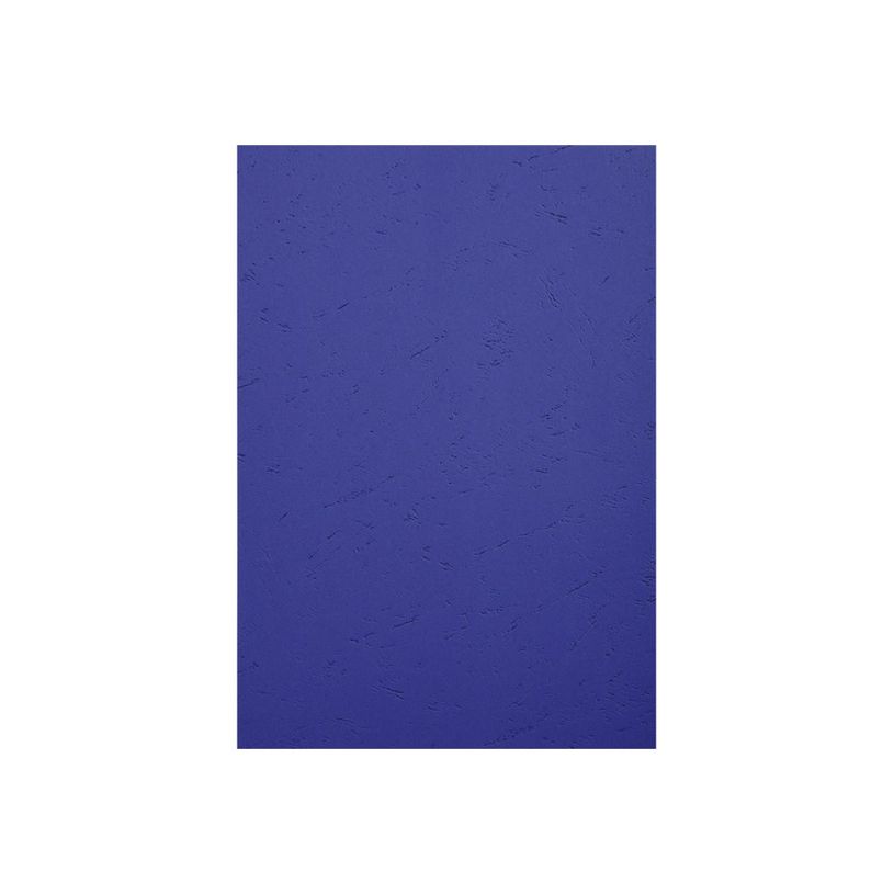3130630027904-Exacompta - 100 couvertures à reliure A4 (21 x 29,7 cm) - 270 g/m² - bleu foncé-P_79417622_2-1