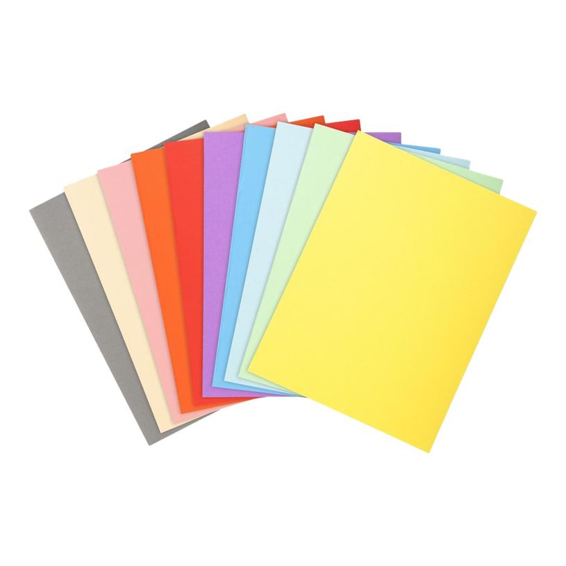 3130634202000-Exacompta Forever 180 - 50 Chemises - 170 gr - pour 200 feuilles - couleurs assorties-P_79417644_2-1