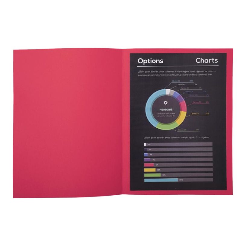 3288582100166-Exacompta Rock"s - 100 Chemises - 210 gr - pour 200 feuilles - framboise-P_79417667_4-2