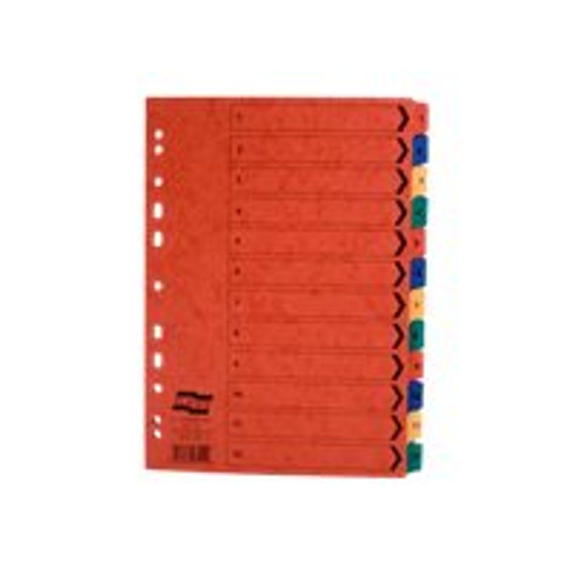 5016196031129-Exacompta Nature Future - Intercalaire 12 positions numériques 1 à 12 - A4 - carte lustr