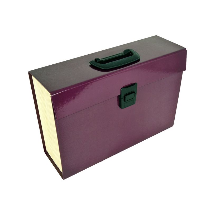 3386177080173-Pierre Henry - Classeur ménager premium (valisette trieur) 20 onglets - aubergine-P_79418815_2-0