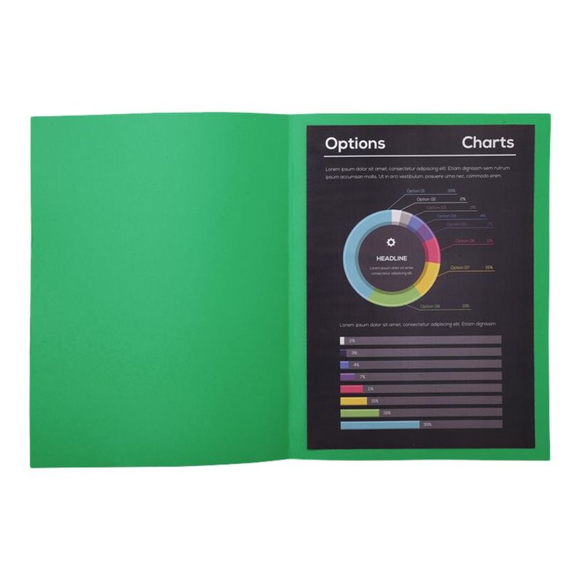 3288582171043-Exacompta Rock"s - 10 Chemises - 210 gr - pour 200 feuilles - vert foncé-P_79418833_3-2