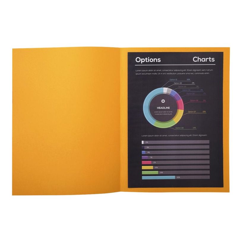 3288582171128-Exacompta Rock"s - 10 Chemises - 210 gr - pour 200 feuilles - rouge cardinal-P_79418835_3-2