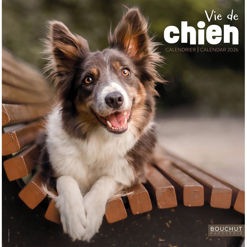 3592930027112-Calendrier illustré BOUCHUT 30 x 30 cm VIE DE CHIEN Pefc 70 %--0