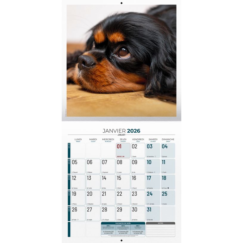 3592930027112-Calendrier illustré BOUCHUT 30 x 30 cm VIE DE CHIEN Pefc 70 %--1