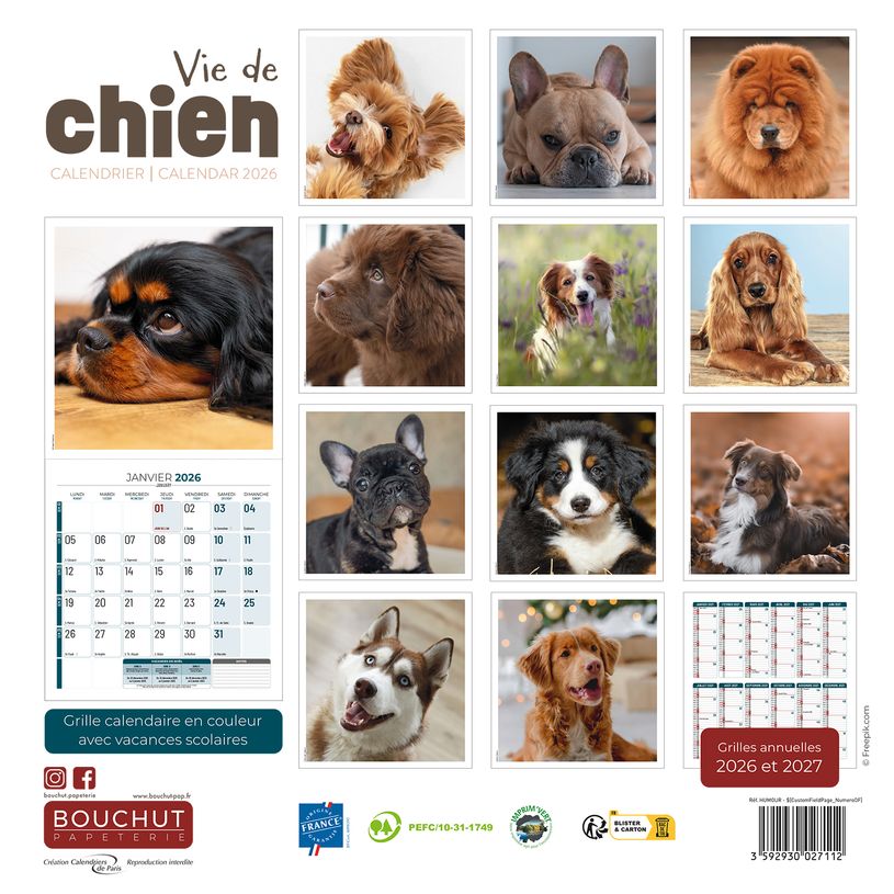 3592930027112-Calendrier illustré BOUCHUT 30 x 30 cm VIE DE CHIEN Pefc 70 %--2