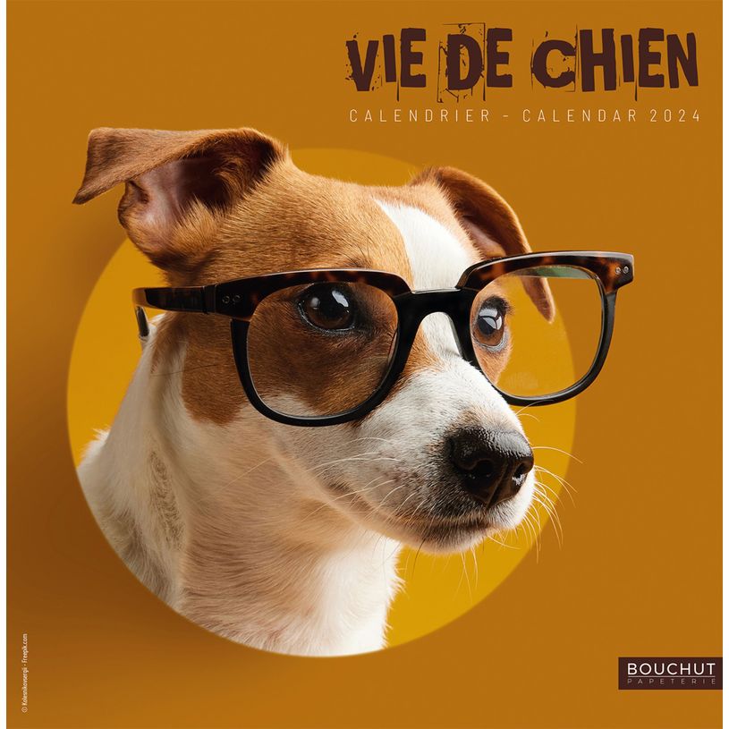 3592930022902-Bouchut Vie de chien - Calendrier illustré mensuel - 15 x 15 cm-P_79420120_1-0