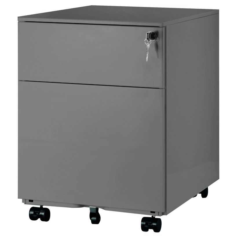 3700339880805-Caisson mobile métallique monobloc - H50 x L42 x P56,5 cm - 2 tiroirs - silver-P_79420824_1-0