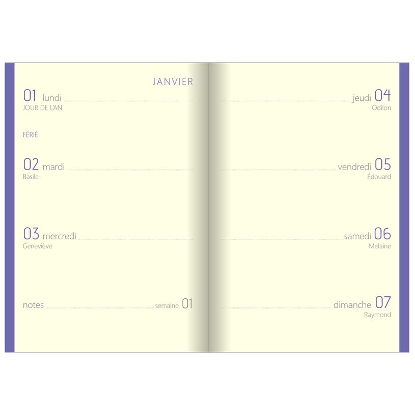 3108728319613-Agenda Colornote - 1 semaine sur 2 pages - 7,5 x 10,5 cm - disponible dans différentes cou-P_79421167_4-3
