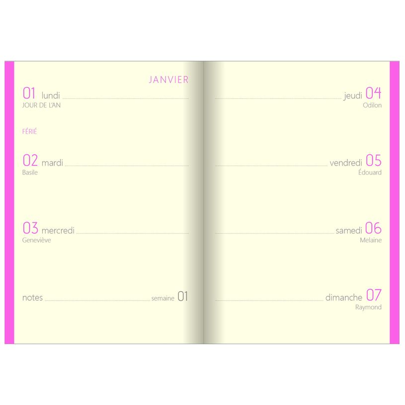 3108728319613-Agenda Colornote - 1 semaine sur 2 pages - 7,5 x 10,5 cm - disponible dans différentes cou-P_79421167_5-4