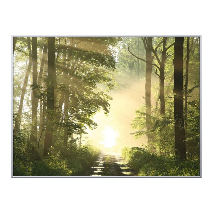3660141890822-Cadre de décoration plexi/alu - 61 x 81 cm - Forêt-P_79421608_1-0